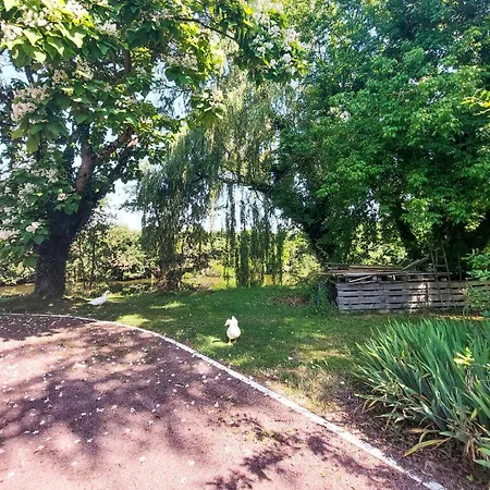 2 Bedroom In Allonnes Allonnes (Maine-et-Loire)